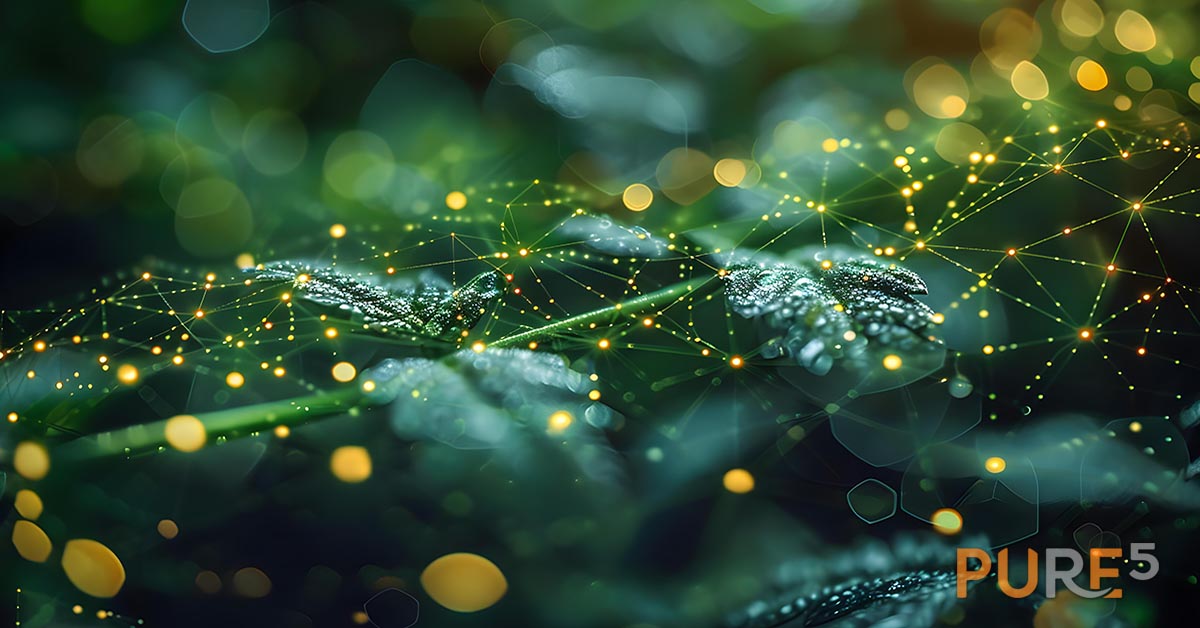 Endocannabinoid Echoes: A Minimalist Symphony. Concept Minimalist Music, Soundscapes, Abstract Compositions, Echo Chamber Effects, Endocannabinoid System