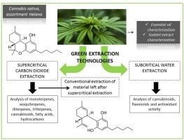 bio-based solvents <a href=