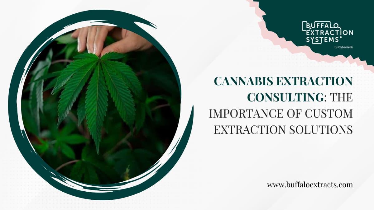 Cannabis Extraction Consulting: When You Need Expert Help