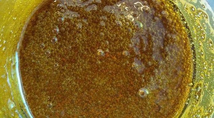 PURE5™ Leads in Food-Grade Cannabis Extraction Standards