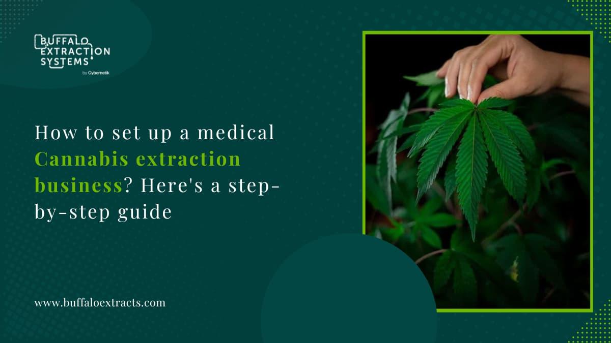 Professional Cannabis Extraction Systems: A Comparison
