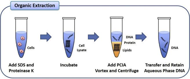 non-toxic extraction methods