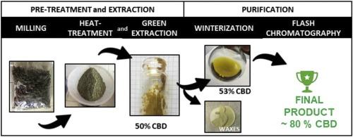 Green Cannabis Extraction: Reducing Your Footprint