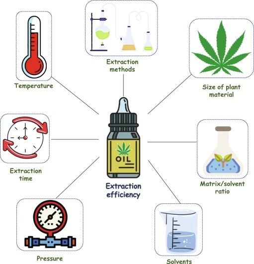 cannabis extraction methods