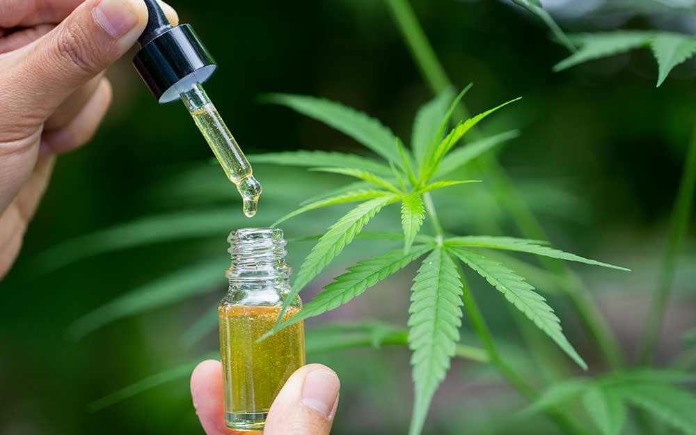green cannabis extraction