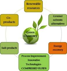 eco-friendly extraction technology