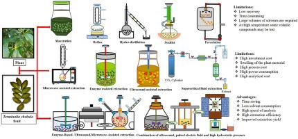 ethanol extraction techniques
