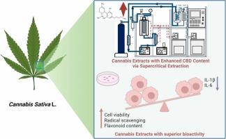 Large-Scale Cannabis Extraction: Key Considerations