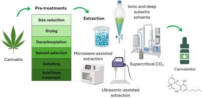 large-scale cannabis extraction
