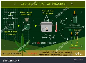 Unlocking CBD Extraction: Methods for Maximum Purity